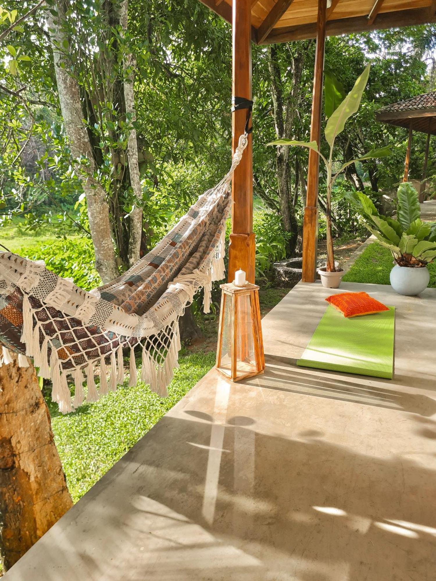 The Jungle Loft Galle Exteriér fotografie