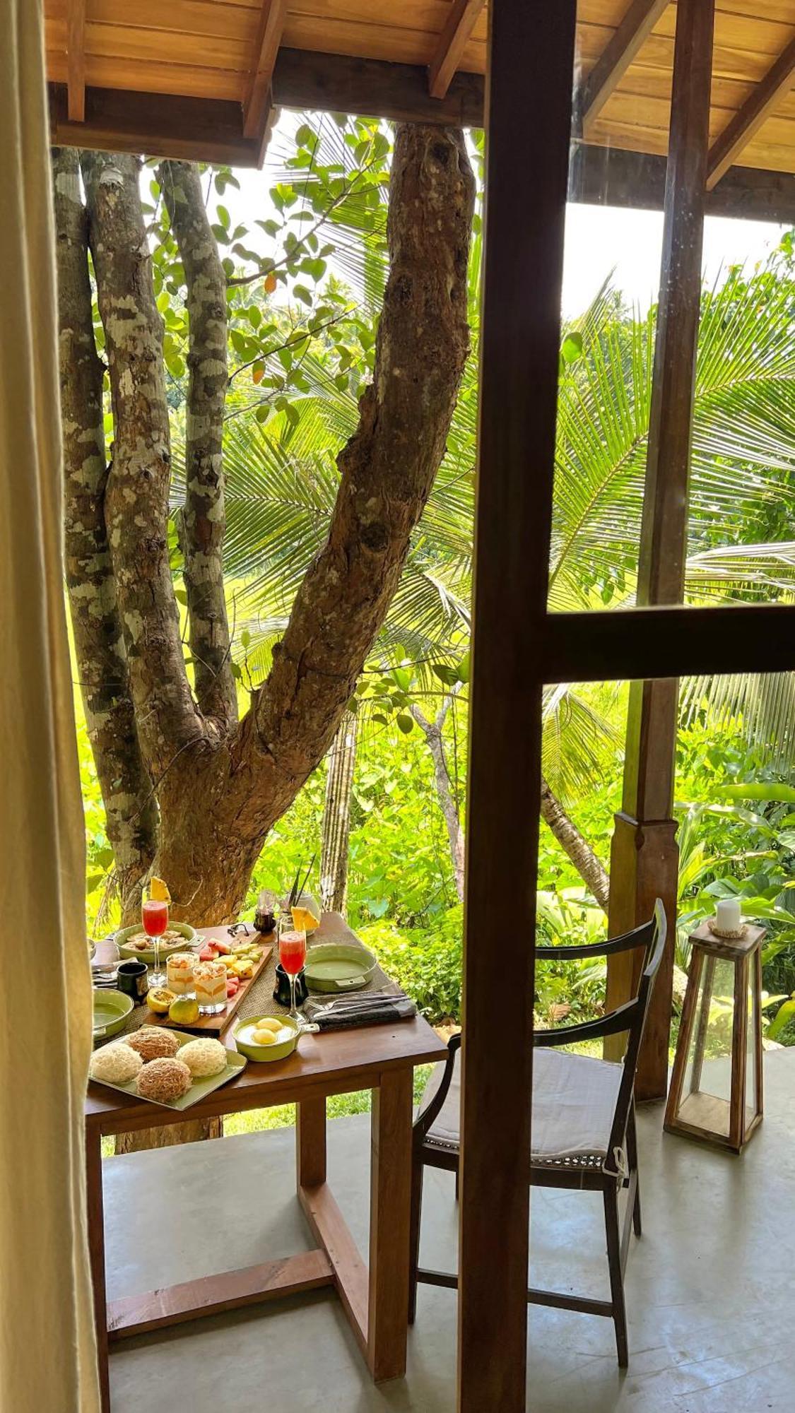 The Jungle Loft Galle Exteriér fotografie