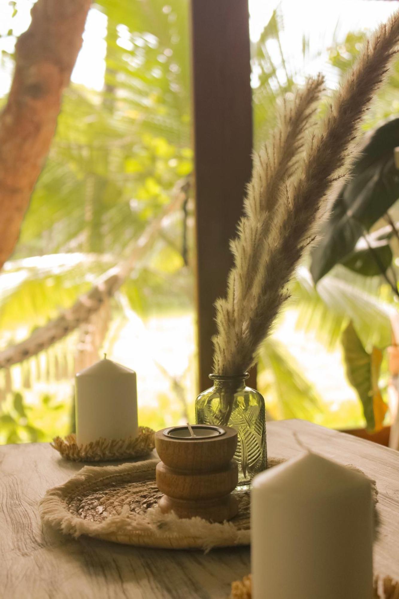 The Jungle Loft Galle Exteriér fotografie