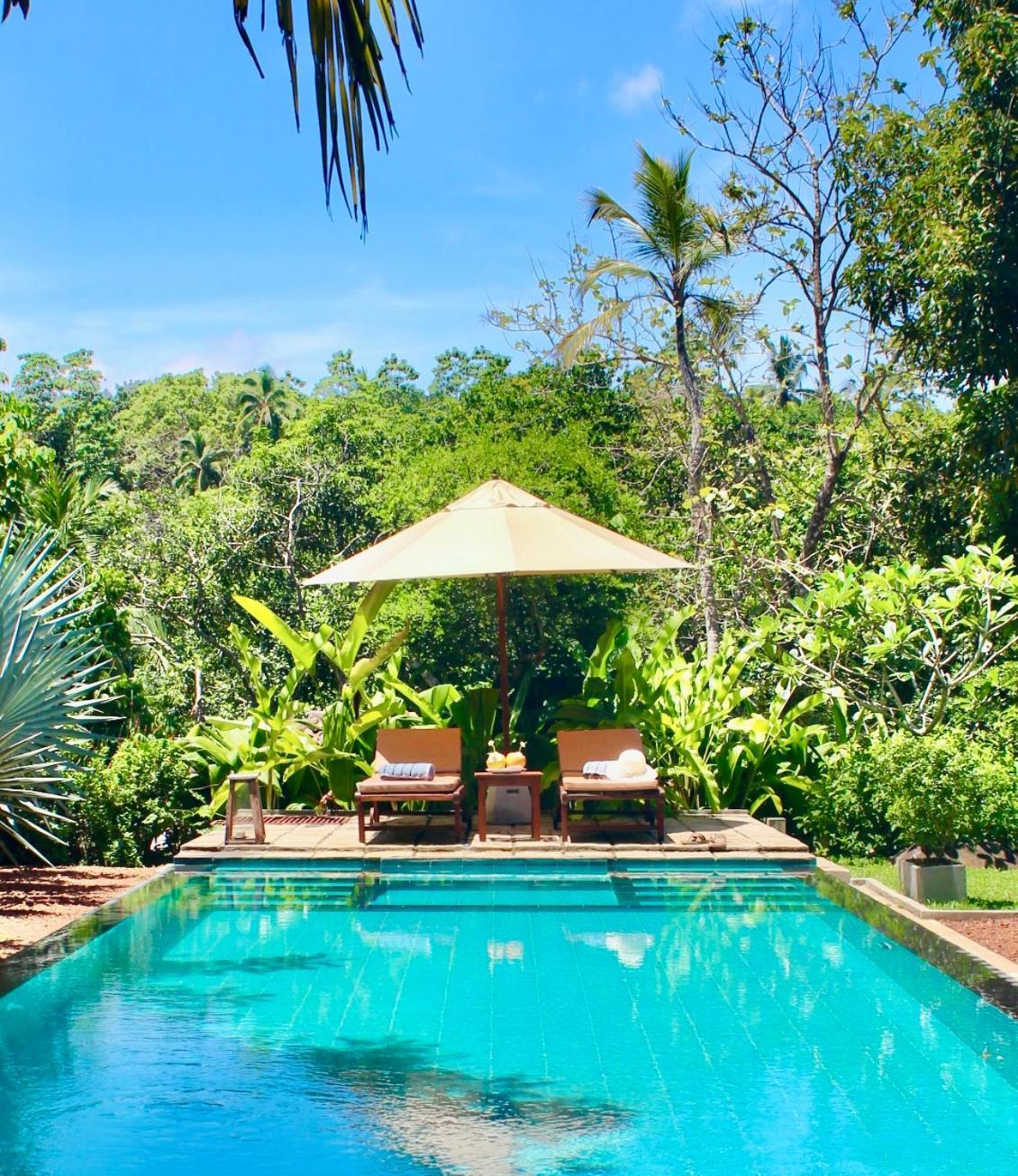 The Jungle Loft Galle Exteriér fotografie